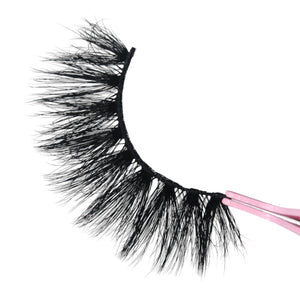 Lash Bundle